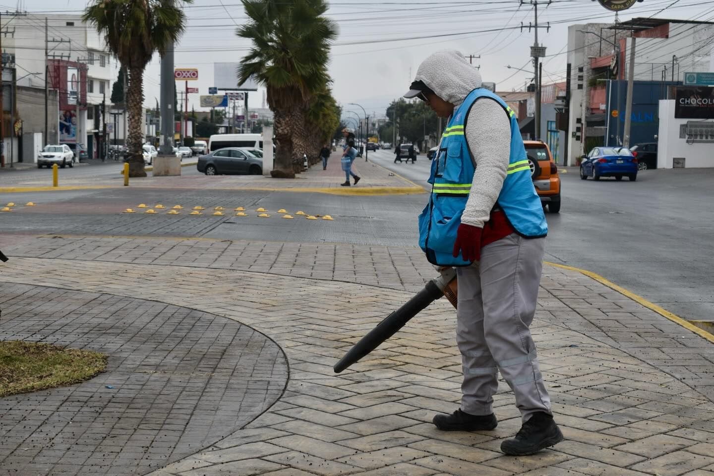 WhatsApp Image 2026-02-09 at 11.51.23 AM